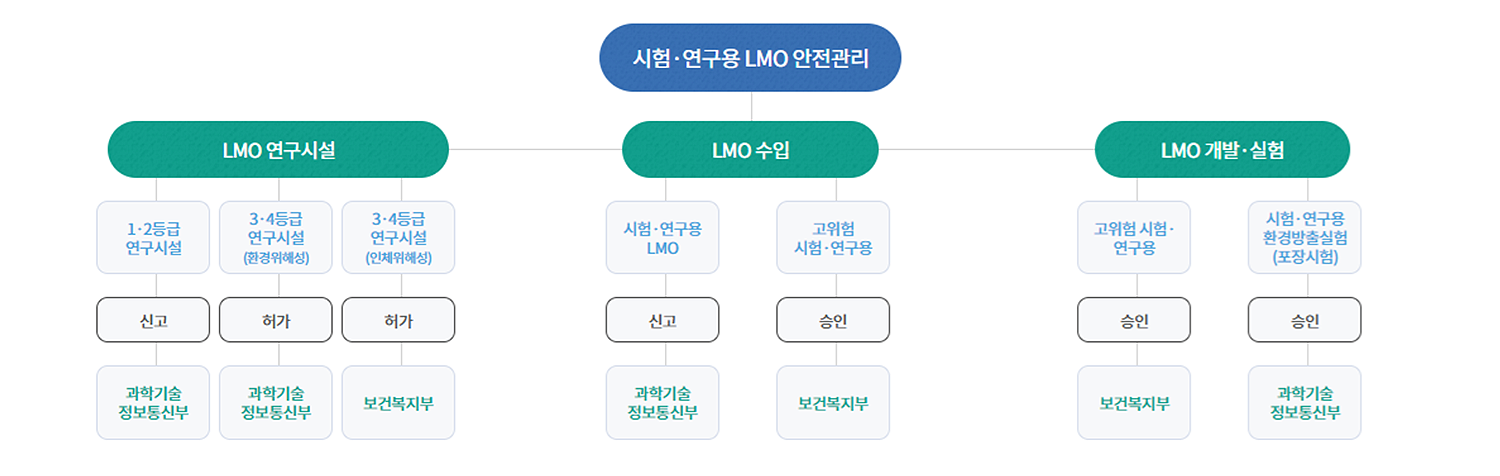 LMO안전관리